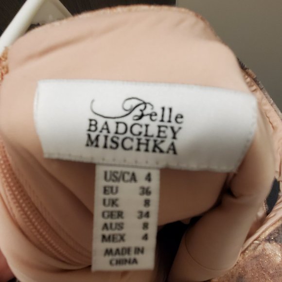 Bagley Mishka Dress Floral Blush Size 4 Brand New Never Worn - Picture 6 of 6